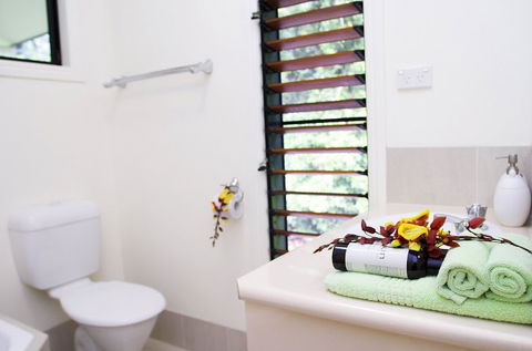 Misty Mountains Tropical Rainforest Romantic Retreat - Accommodation 4U 5