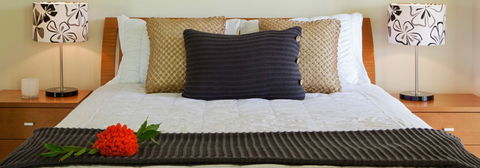Misty Mountains Tropical Rainforest Romantic Retreat - Accommodation 4U 7