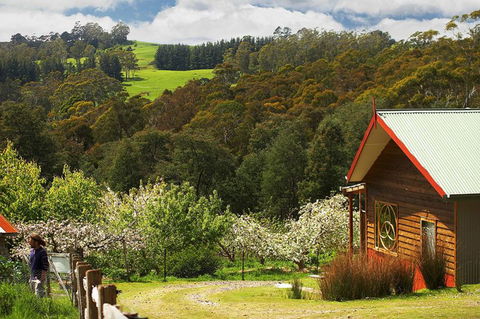 Elvenhome Farm Cottage - Accommodation 4U 5