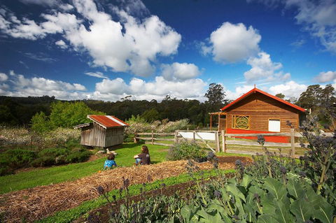 Elvenhome Farm Cottage - Accommodation 4U 6