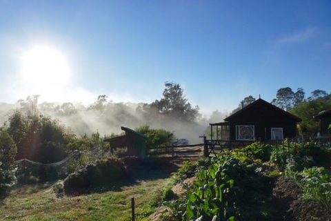 Elvenhome Farm Cottage - Accommodation 4U 9