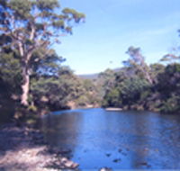 Douglas River Cabin - Accommodation 4U