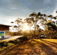 Bruny Island Experience - Accommodation 4U
