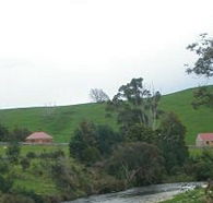 Tin Dragon Trail Cottages - Accommodation 4U