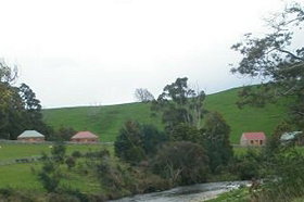 Tin Dragon Trail Cottages - Accommodation 4U 0