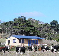 Marrawah Beach House - Accommodation 4U
