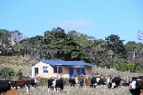 Marrawah Beach House - Accommodation 4U 0