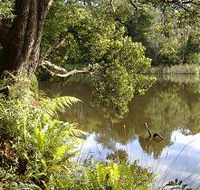 Weldborough Camping Ground - Accommodation 4U