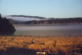 Lemont TAS Accommodation 4U