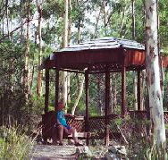 Telopea - Accommodation 4U