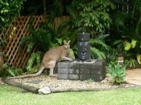 Bluewater Bed And Breakfast Cairns - Accommodation 4U 0