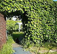 Kirra Guest House - Accommodation 4U
