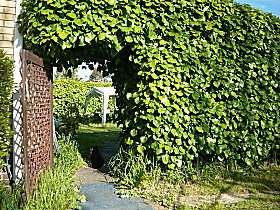 Kirra Guest House - Accommodation 4U 0