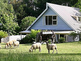 Hide-Away Cottage Retreat - Accommodation 4U 0