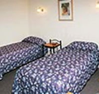 Mt Lyell Motor Inn - Accommodation 4U