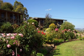 Mole Creek Holiday Village - Accommodation 4U 0