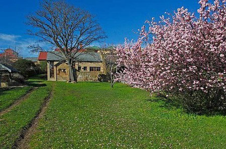 Forget-Me-Not Cottage - Accommodation 4U 3