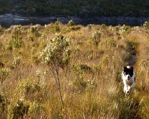 Highland Caravan Park - Accommodation 4U 1