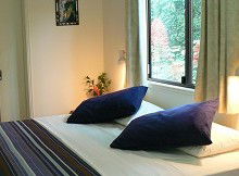 Daintree Valley Haven - Accommodation 4U 1