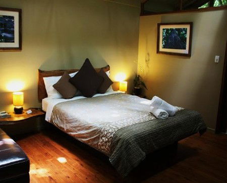 Daintree Wilderness Lodge - Accommodation 4U 2