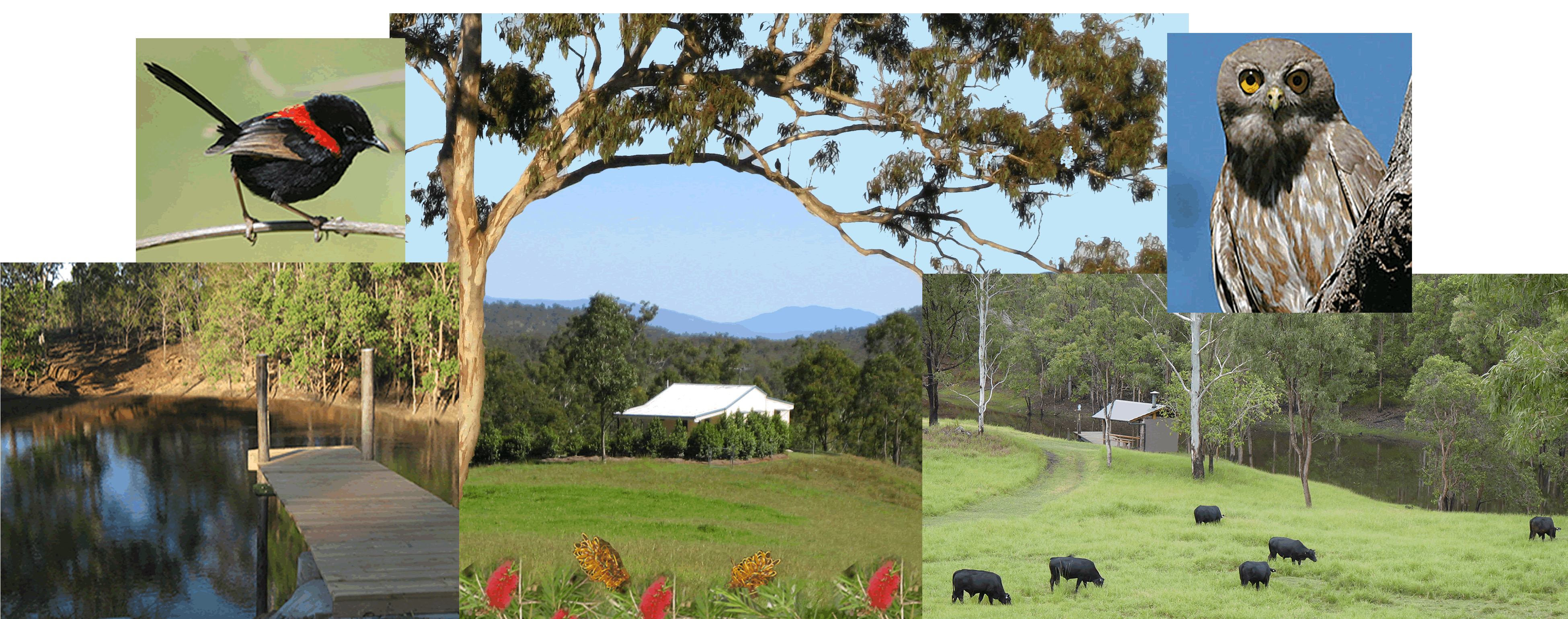 Barking Owl Retreat - Accommodation 4U
