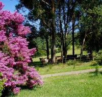 Figlea Cottages - Accommodation 4U