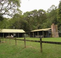 Tree Fern Lodge - Accommodation 4U