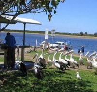 Mountain View Caravan and Mobile Home Village - Accommodation 4U