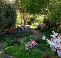 Wombat Hill Bed and Breakfast - Accommodation 4U