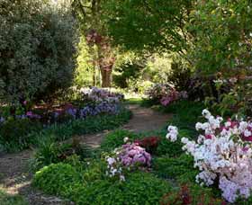 Wombat Hill Bed And Breakfast - Accommodation 4U 0