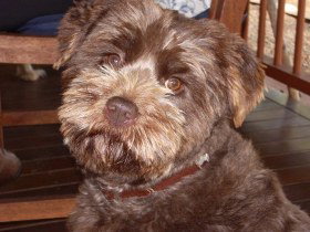 Lagoon Pocket Bed And Breakfast - Accommodation 4U 0