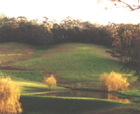 Ferngrove Estate - Accommodation 4U 0
