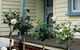 Rose Cottage Bed & Breakfast - thumb 3
