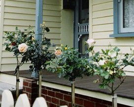 Rose Cottage Bed & Breakfast - Accommodation 4U 3