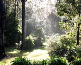 Casuarina Holiday Cottages - Accommodation 4U 1