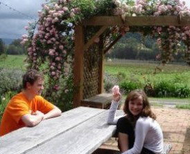 Back Forest Retreat - Accommodation 4U 1