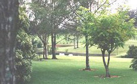 Ferngrove Estate - Accommodation 4U 1