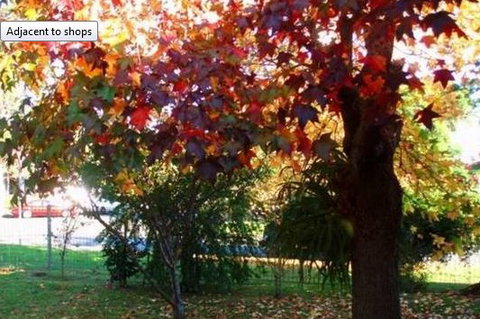 Marigold Cottage - Accommodation 4U 2