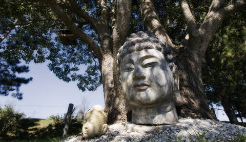 Banksia Garden Retreat - Accommodation 4U 1