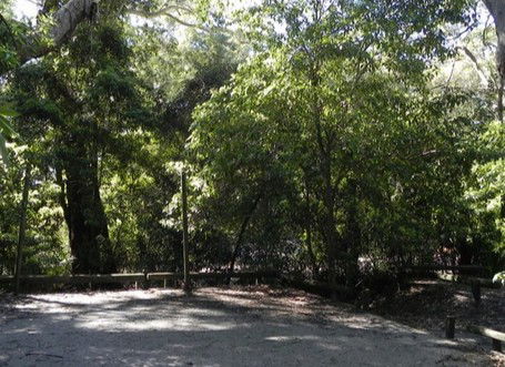 Booderee National Park: Green Patch Camping Area - Accommodation 4U 0