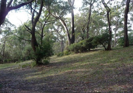 Booderee National Park: Green Patch Camping Area - Accommodation 4U 3