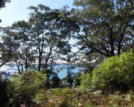 Booderee National Park: Bristol Point Camping Area - Accommodation 4U 1