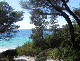 Booderee National Park: Bristol Point Camping Area - Accommodation 4U 2