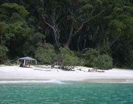 Booderee National Park: Bristol Point Camping Area - Accommodation 4U 3