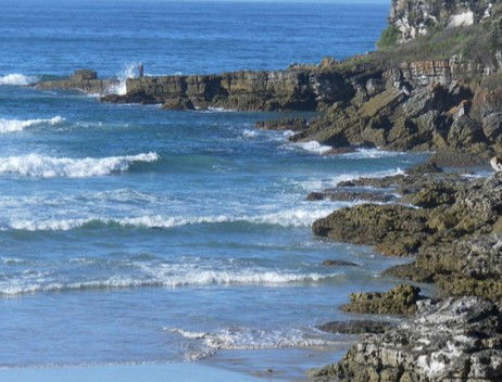 Booderee National Park: Cave Beach Camping Area - Accommodation 4U 2