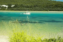 Wooli Camping and Caravan Park - Accommodation 4U