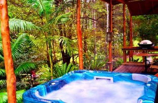 A Waterfall Hideout-Rainforest Cabin For Couples - Accommodation 4U 5