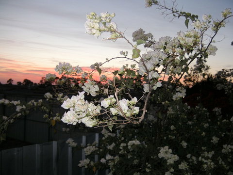 Sonjas Bed And Breakfast - Accommodation 4U 2