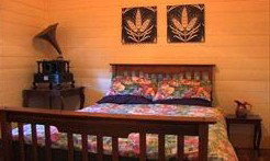 Saltbush Retreat - Accommodation 4U 2