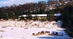 Cooba Holiday Motel - Accommodation 4U 2